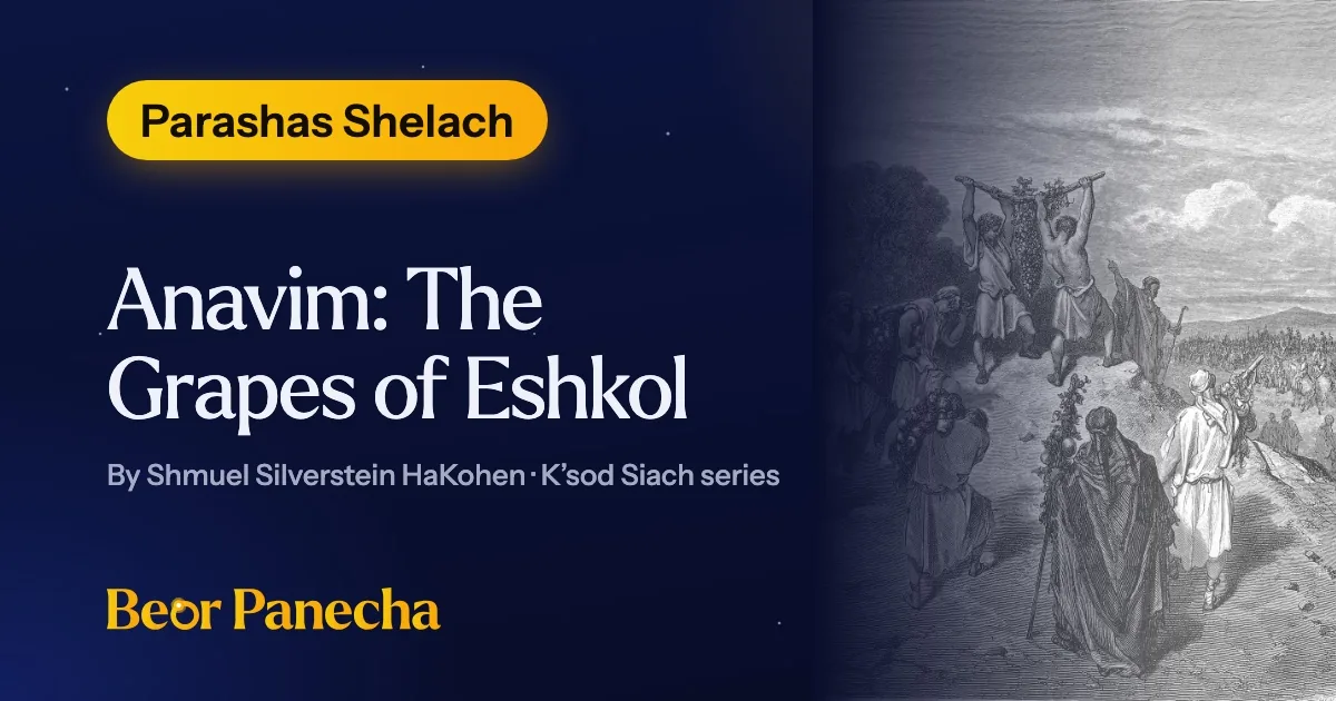Anavim: The Grapes of Eshkol thumbnail
